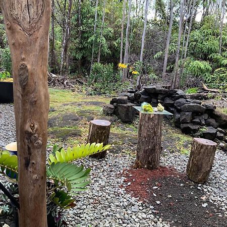 Exotic Garden Cottage At Amazing Volcano Fissure Mountain View Екстериор снимка