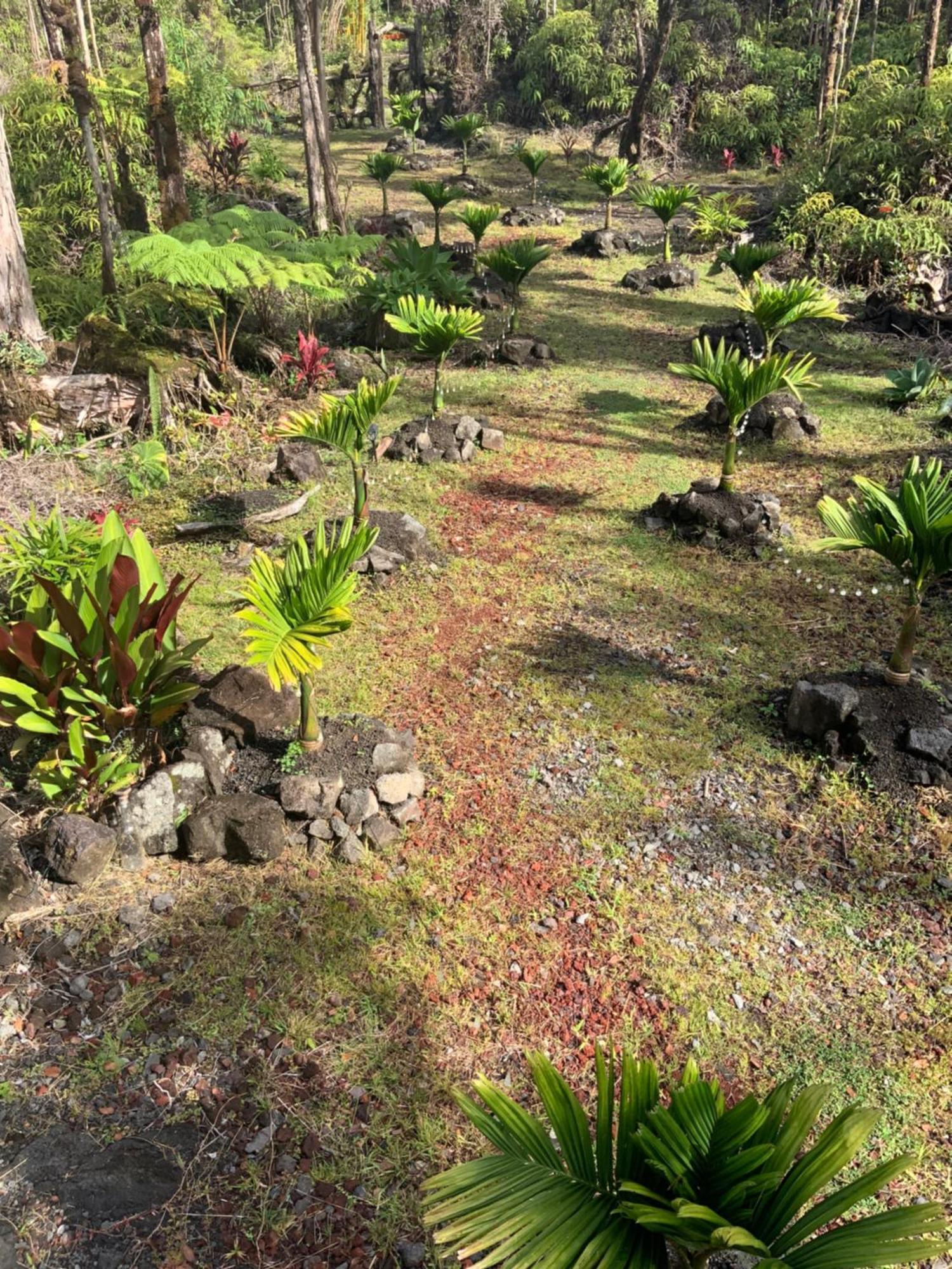 Exotic Garden Cottage At Amazing Volcano Fissure Mountain View Екстериор снимка