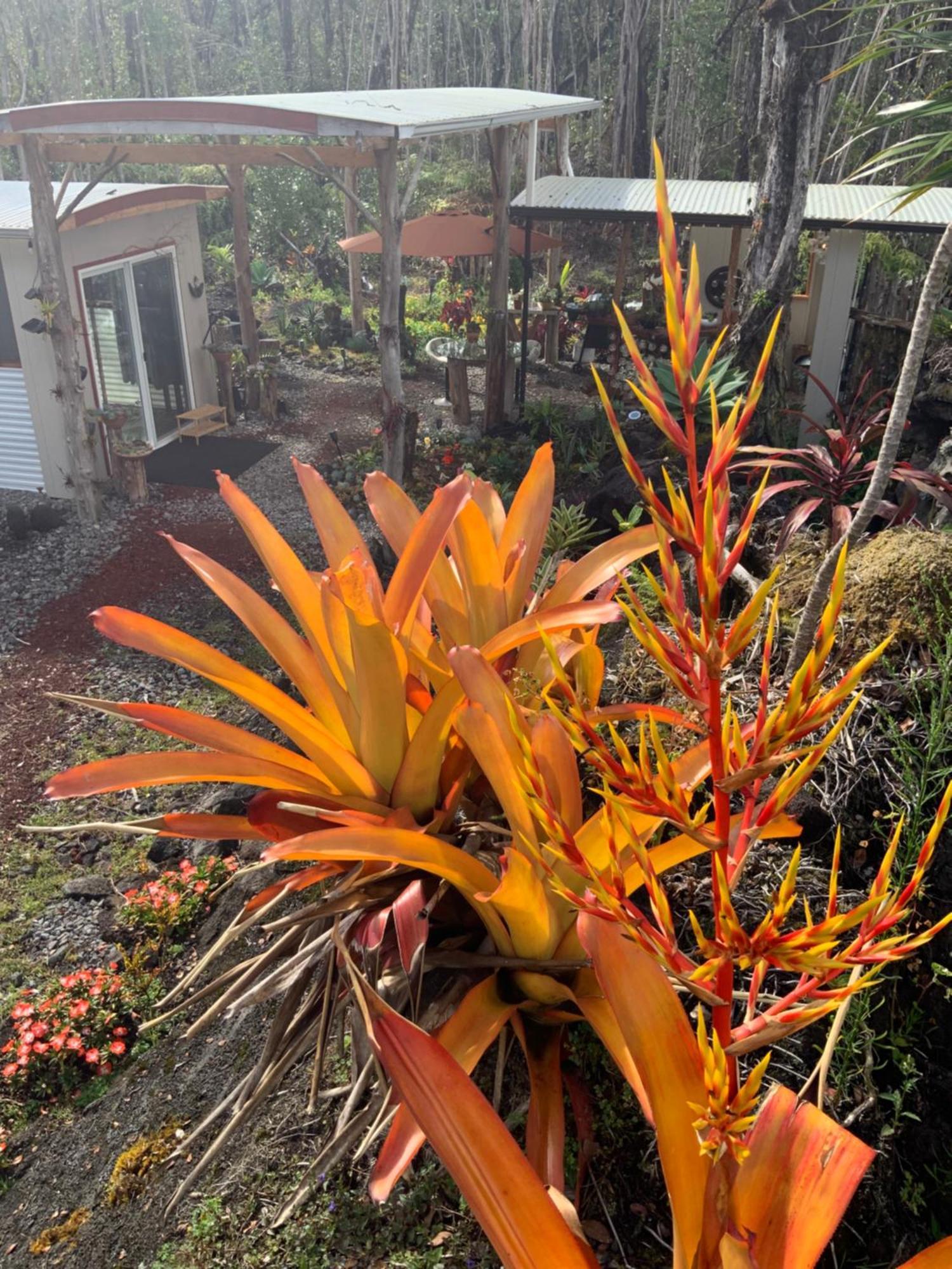 Exotic Garden Cottage At Amazing Volcano Fissure Mountain View Екстериор снимка
