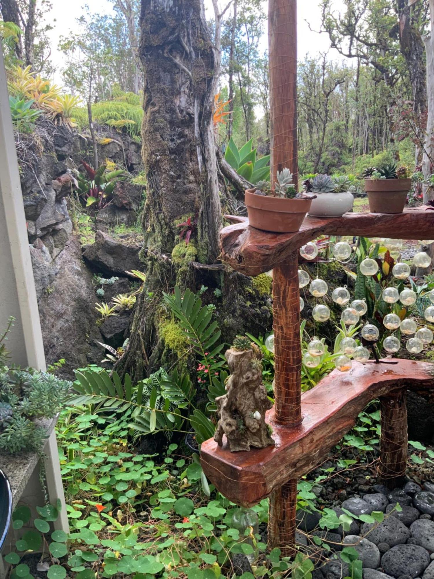 Exotic Garden Cottage At Amazing Volcano Fissure Mountain View Екстериор снимка