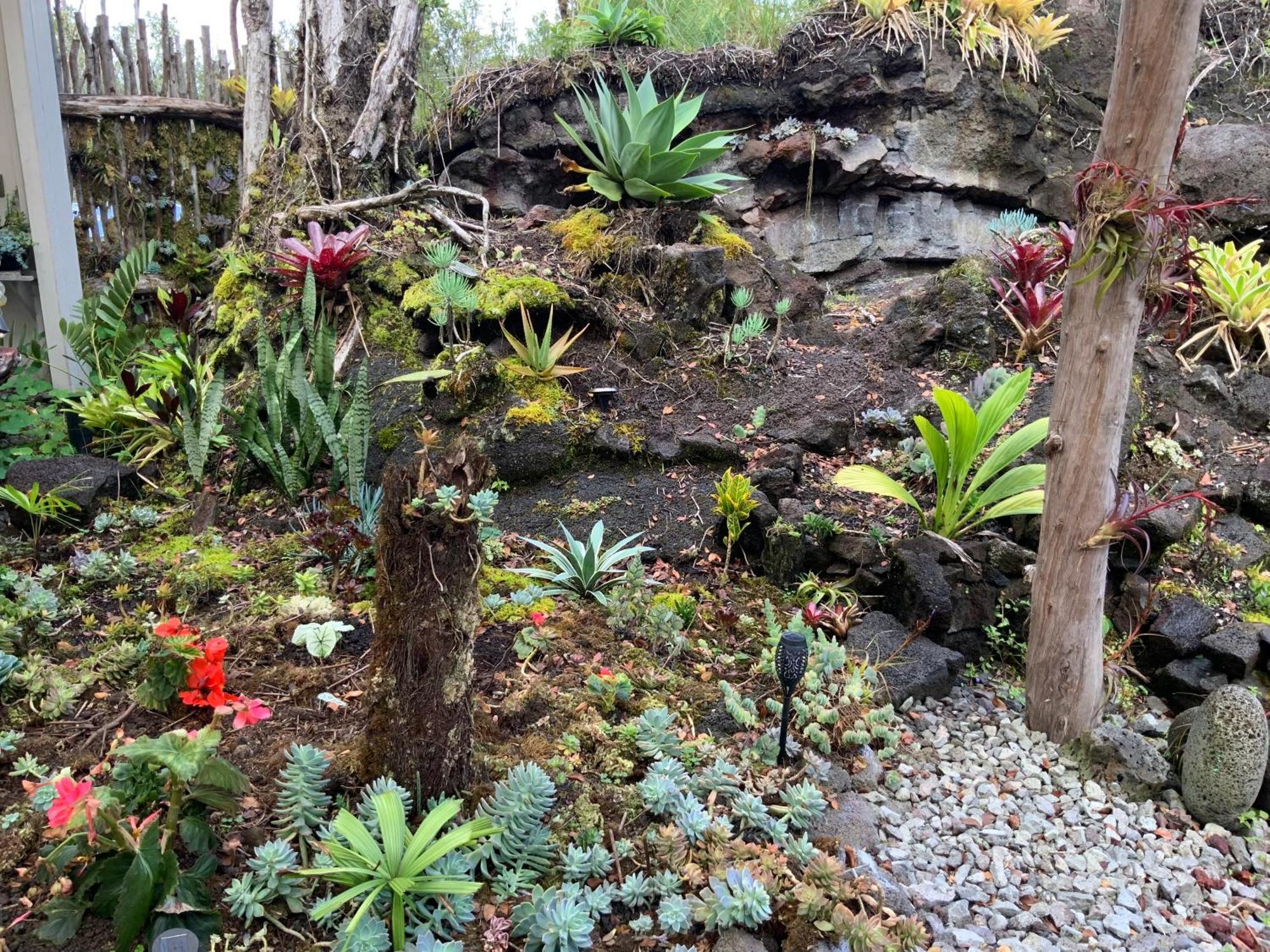 Exotic Garden Cottage At Amazing Volcano Fissure Mountain View Екстериор снимка