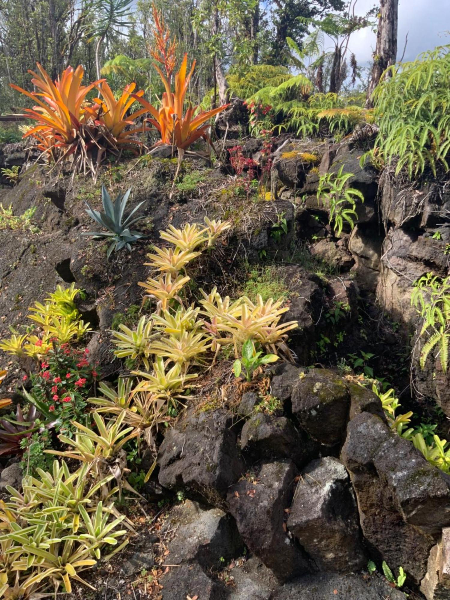 Exotic Garden Cottage At Amazing Volcano Fissure Mountain View Екстериор снимка