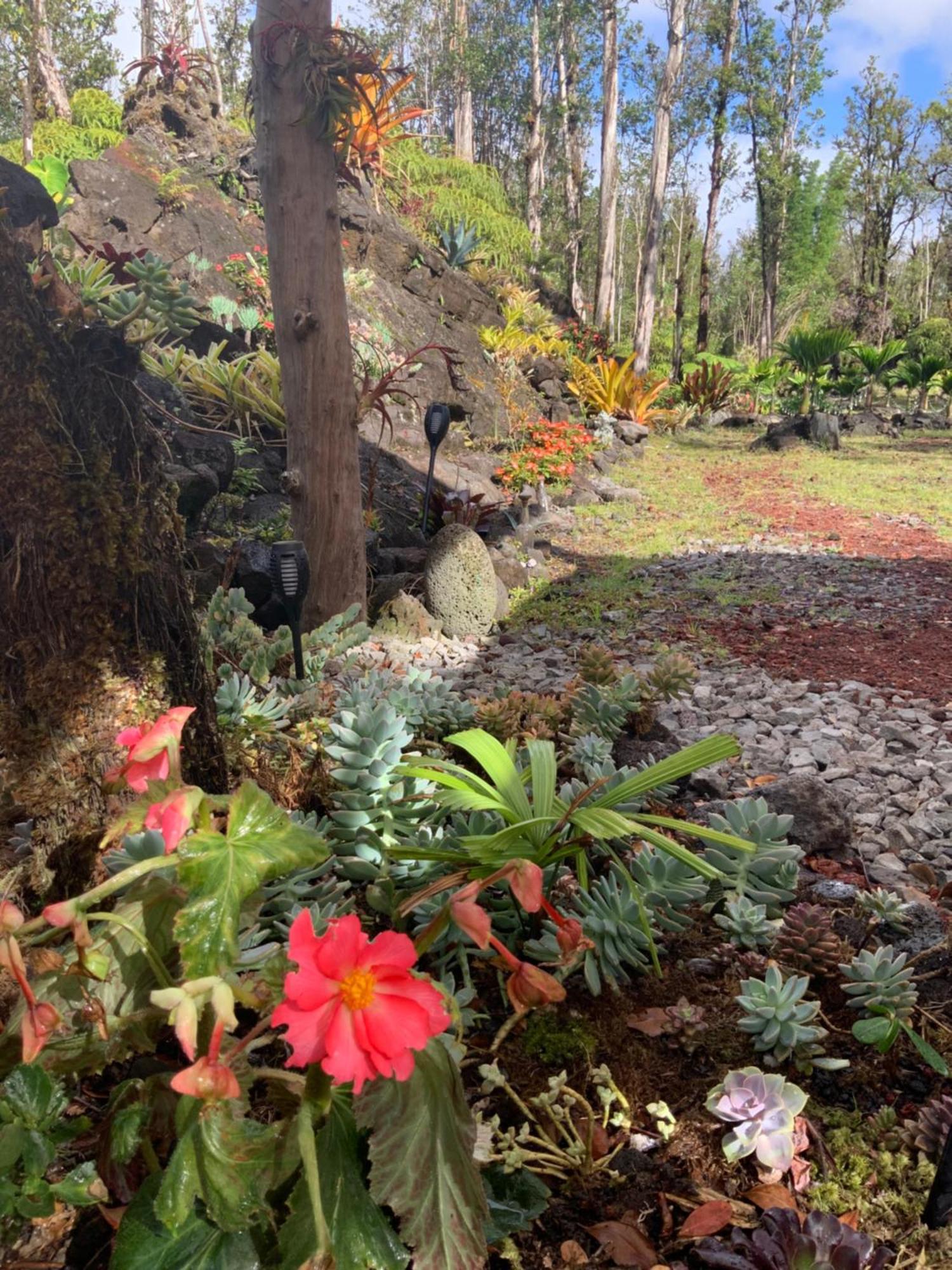 Exotic Garden Cottage At Amazing Volcano Fissure Mountain View Екстериор снимка