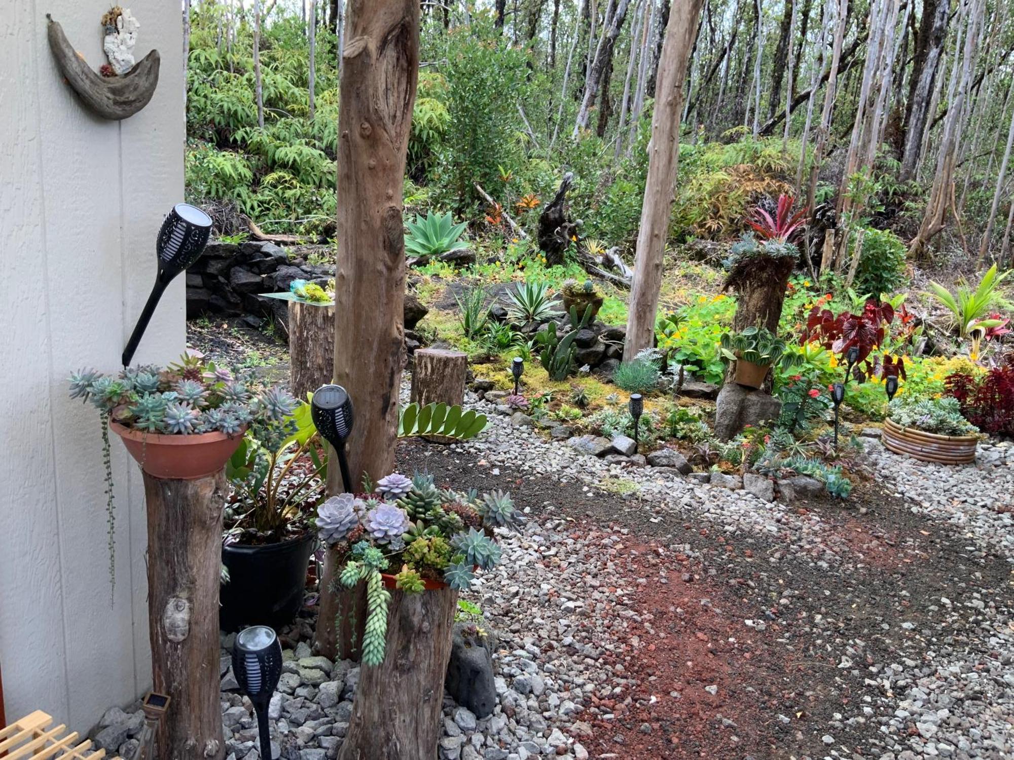 Exotic Garden Cottage At Amazing Volcano Fissure Mountain View Екстериор снимка