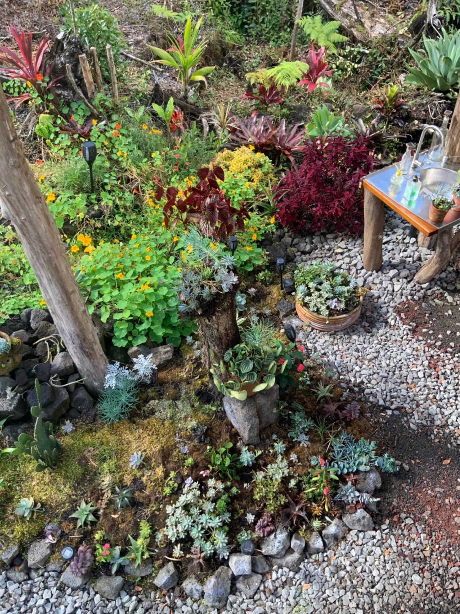 Exotic Garden Cottage At Amazing Volcano Fissure Mountain View Екстериор снимка