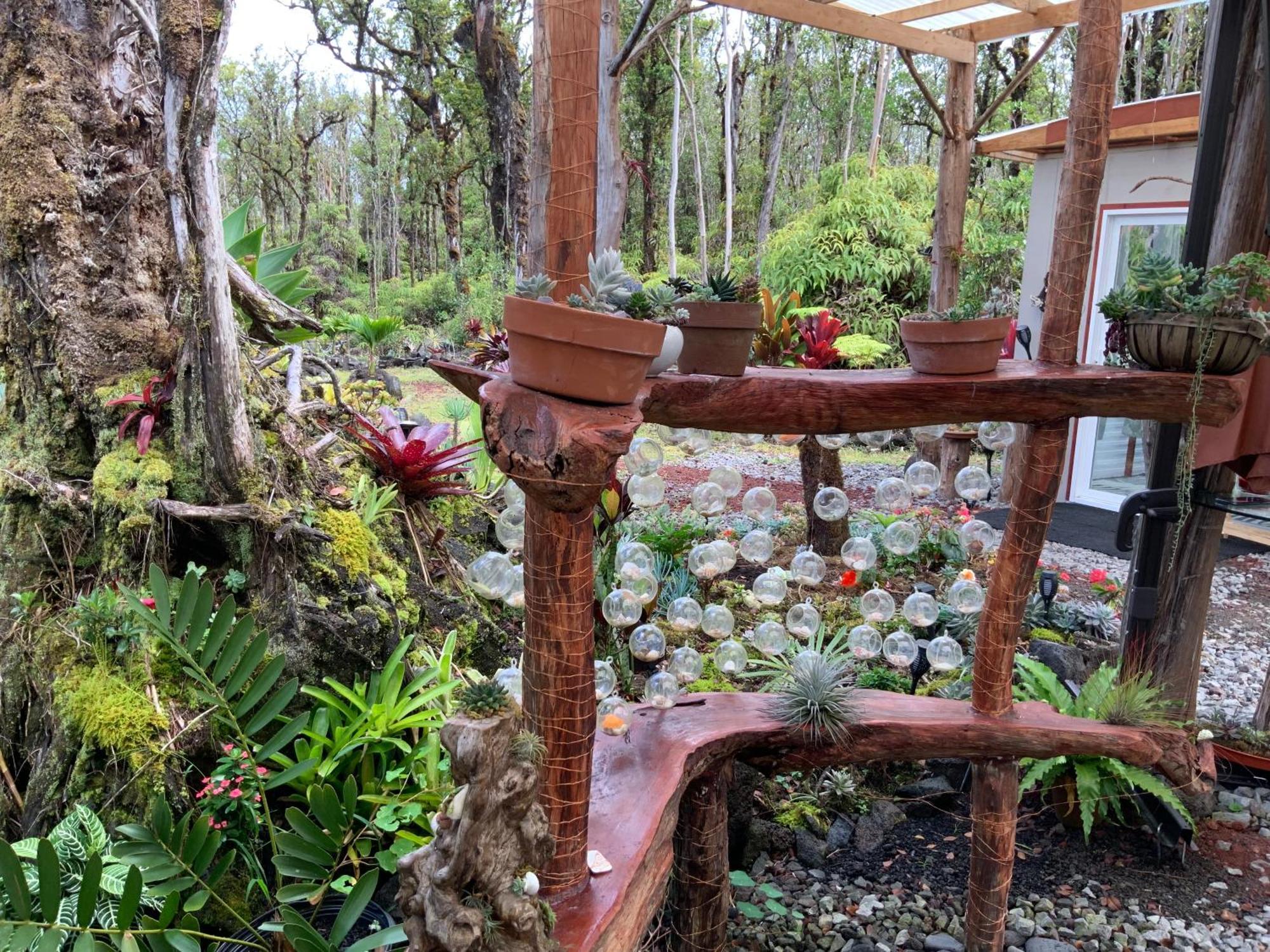 Exotic Garden Cottage At Amazing Volcano Fissure Mountain View Екстериор снимка