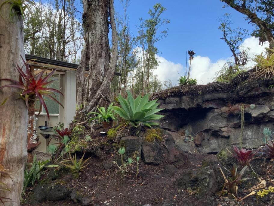Exotic Garden Cottage At Amazing Volcano Fissure Mountain View Екстериор снимка