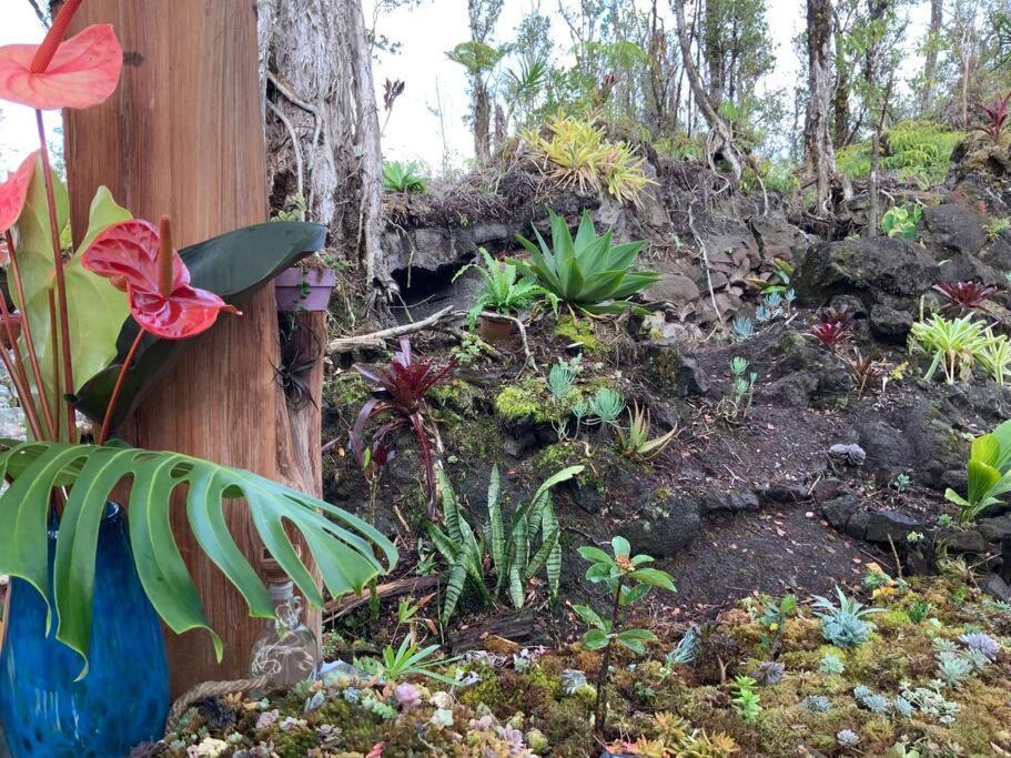Exotic Garden Cottage At Amazing Volcano Fissure Mountain View Екстериор снимка