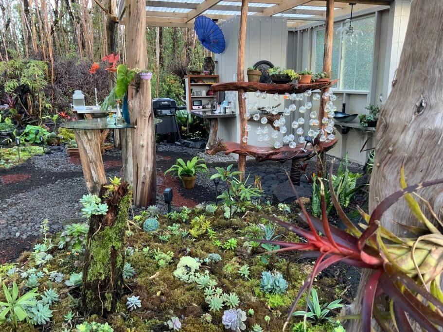 Exotic Garden Cottage At Amazing Volcano Fissure Mountain View Екстериор снимка
