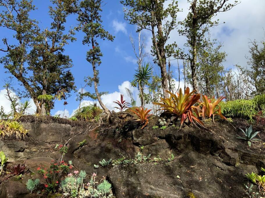 Exotic Garden Cottage At Amazing Volcano Fissure Mountain View Екстериор снимка