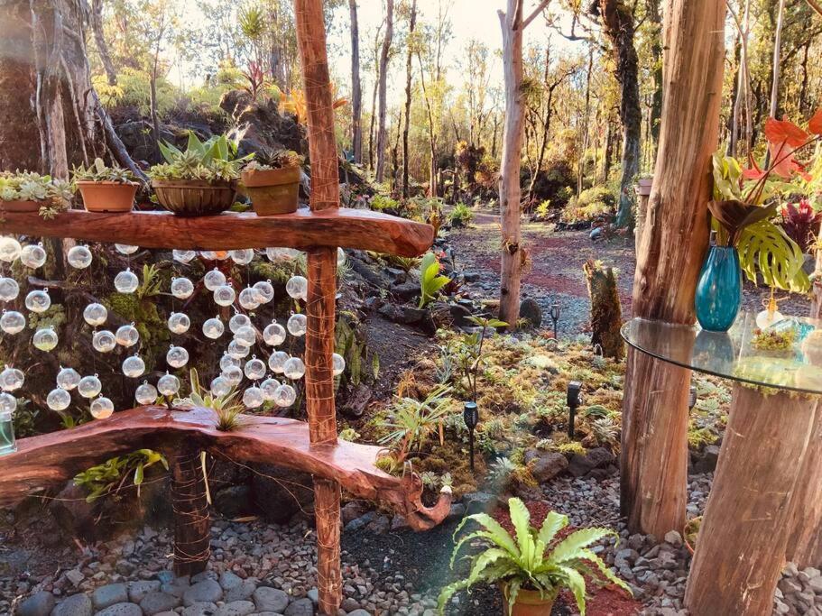 Exotic Garden Cottage At Amazing Volcano Fissure Mountain View Екстериор снимка