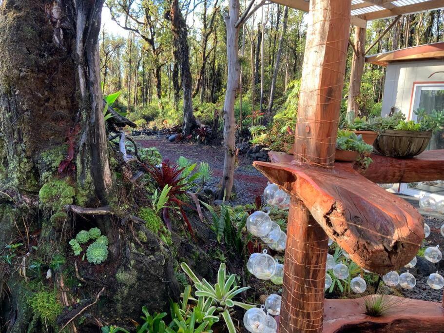 Exotic Garden Cottage At Amazing Volcano Fissure Mountain View Екстериор снимка
