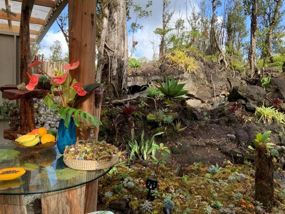 Exotic Garden Cottage At Amazing Volcano Fissure Mountain View Екстериор снимка