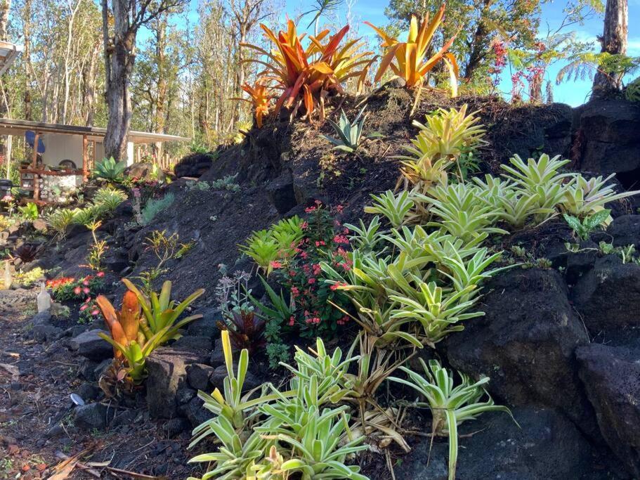 Exotic Garden Cottage At Amazing Volcano Fissure Mountain View Екстериор снимка