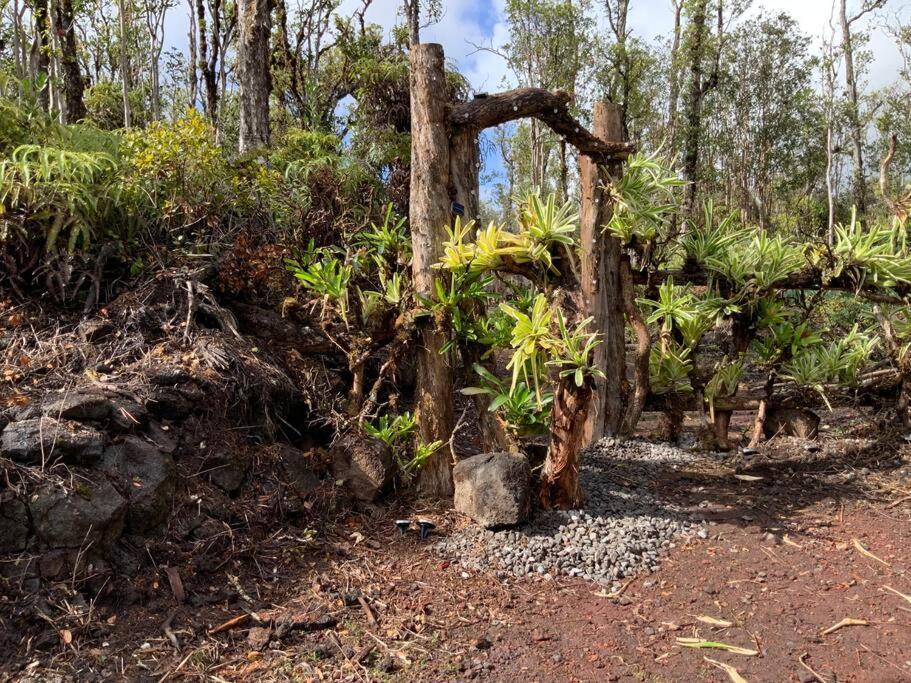 Exotic Garden Cottage At Amazing Volcano Fissure Mountain View Екстериор снимка
