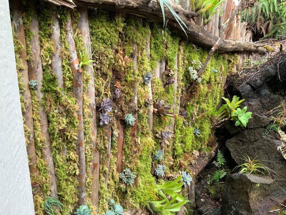 Exotic Garden Cottage At Amazing Volcano Fissure Mountain View Екстериор снимка